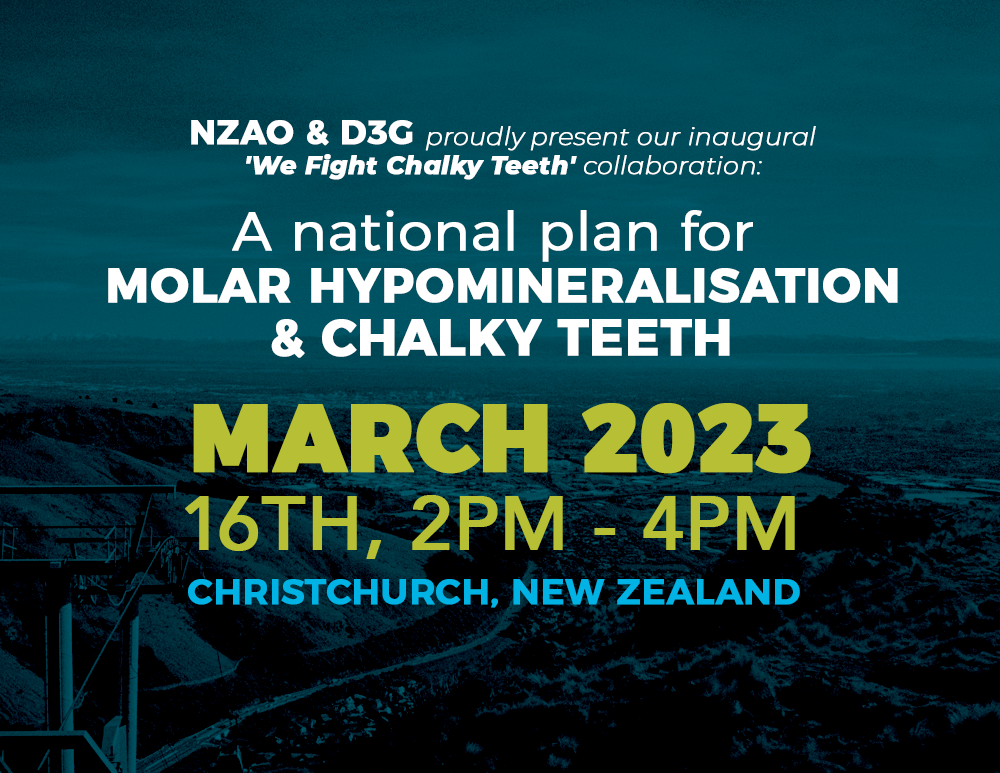 D3G's Christchurch Mini-Symposium 2023 banner